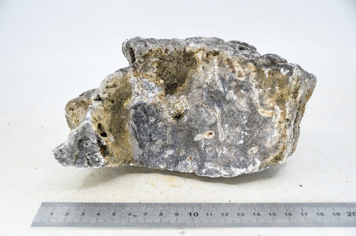 Elephant Skin Rock L27 - Hardscape.nl