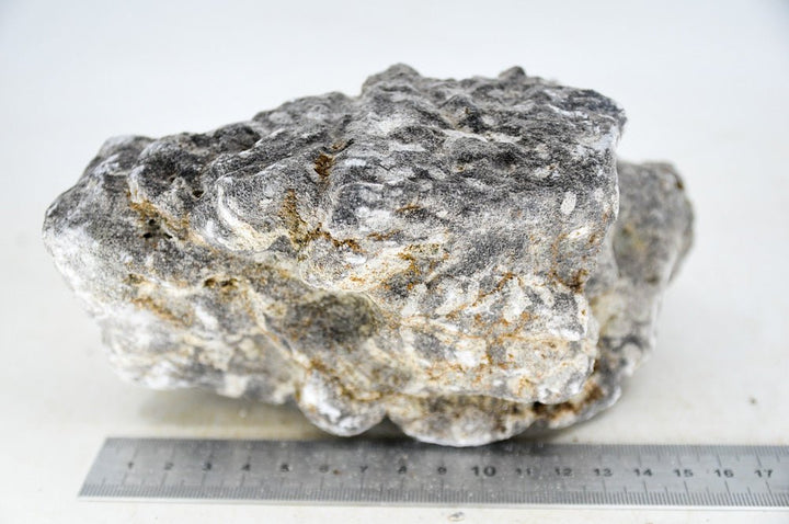 Elephant Skin Rock L27 - Hardscape.nl