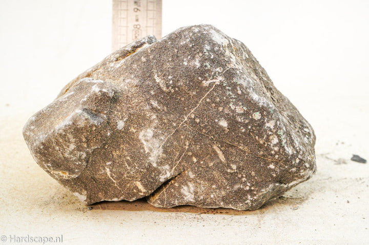 Elephant Skin Rock L41 - Hardscape.nl