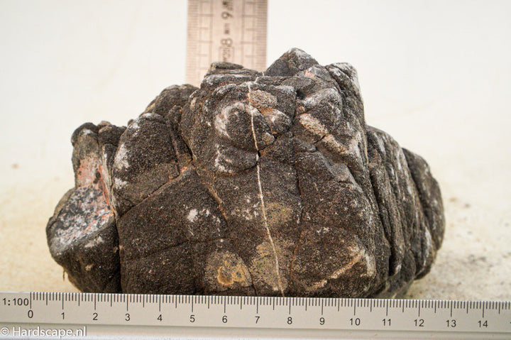 Elephant Skin Rock L43 - Hardscape.nl
