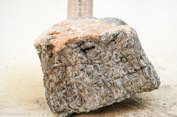 Elephant Skin Rock L82 - Hardscape.nl