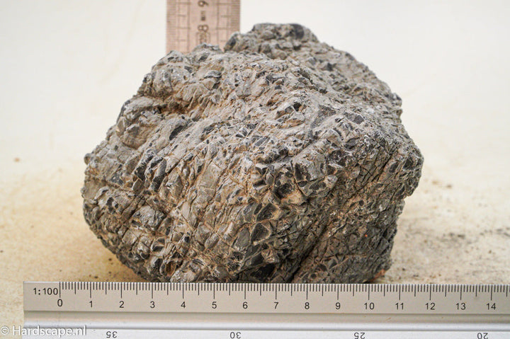Elephant Skin Rock L82 - Hardscape.nl