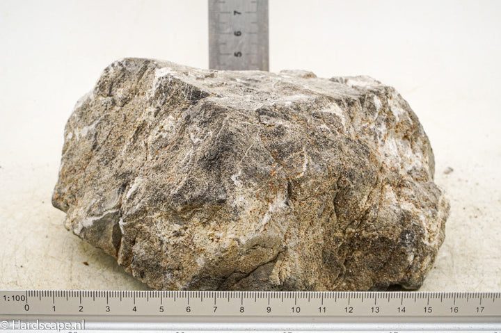 Elephant Skin Rock L93 - Hardscape.nl