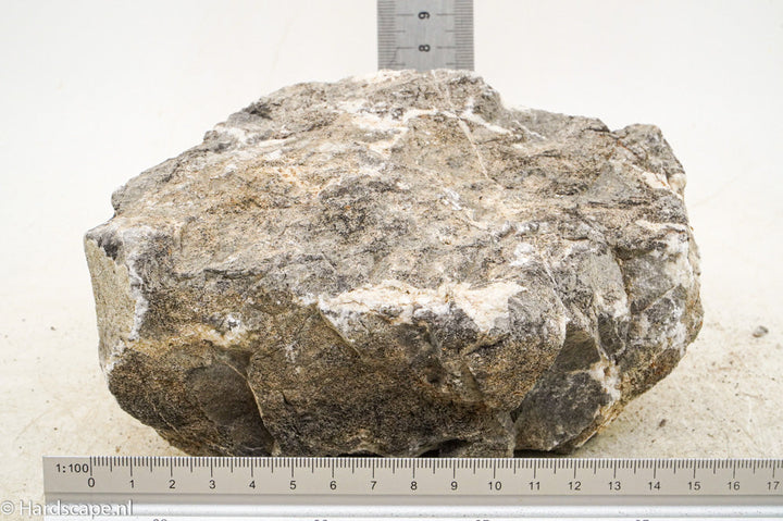 Elephant Skin Rock L93 - Hardscape.nl