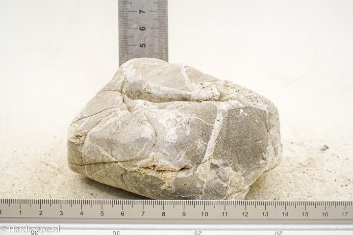 Elephant Skin Rock L94 - Hardscape.nl