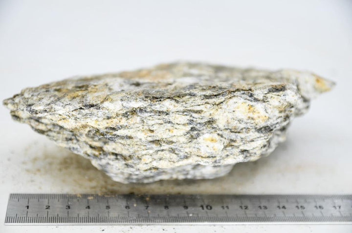 Glimmer Wood Rock L2 - Hardscape.nl