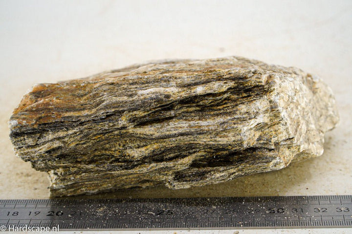 Glimmer Wood Rock L20 - Hardscape.nl