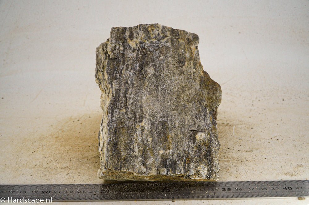 Glimmer Wood Rock L26 - Hardscape.nl