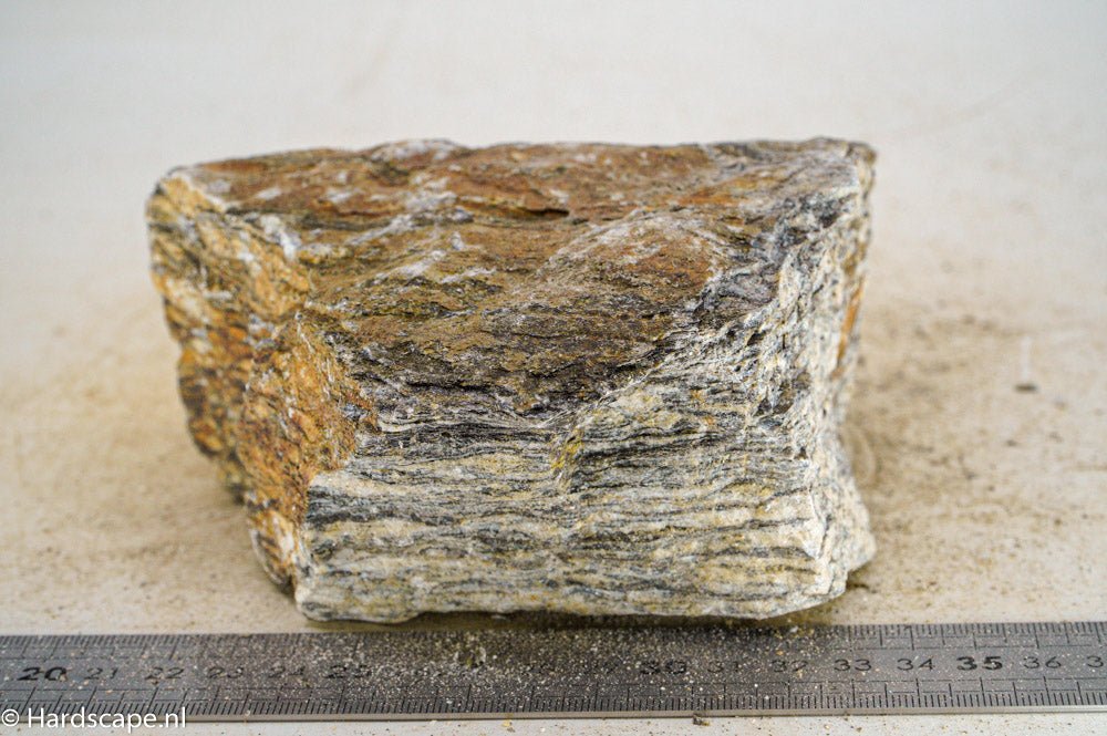 Glimmer Wood Rock L31 - Hardscape.nl