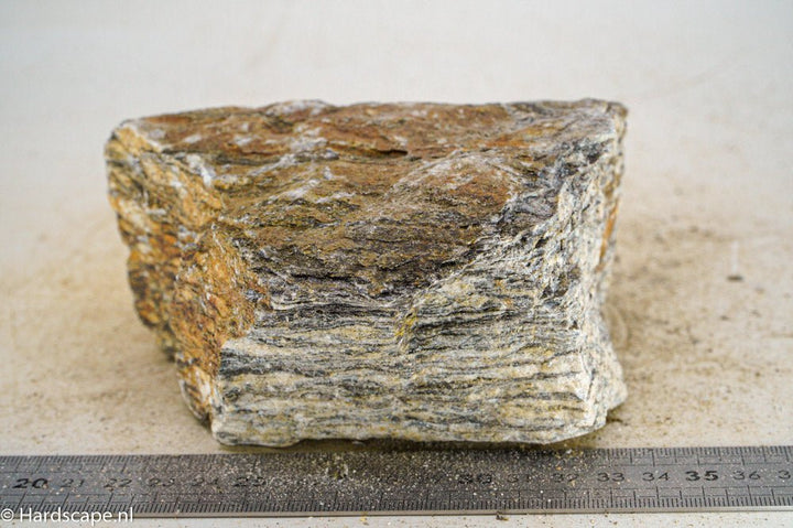 Glimmer Wood Rock L31 - Hardscape.nl