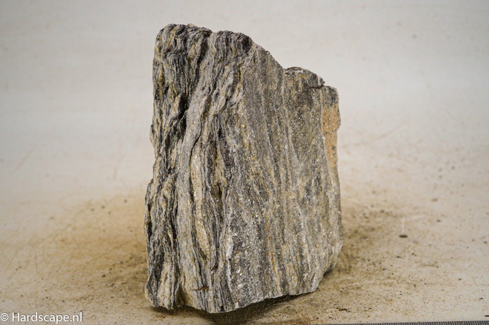 Glimmer Wood Rock L31 - Hardscape.nl