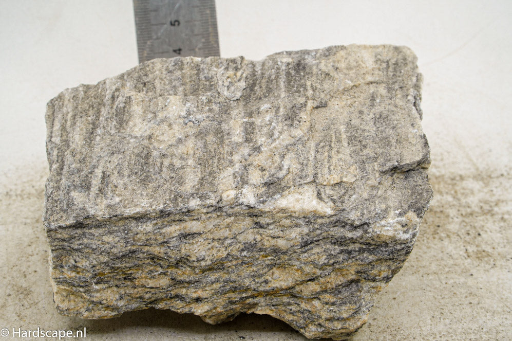 Glimmer Wood Rock L43 - Hardscape.nl