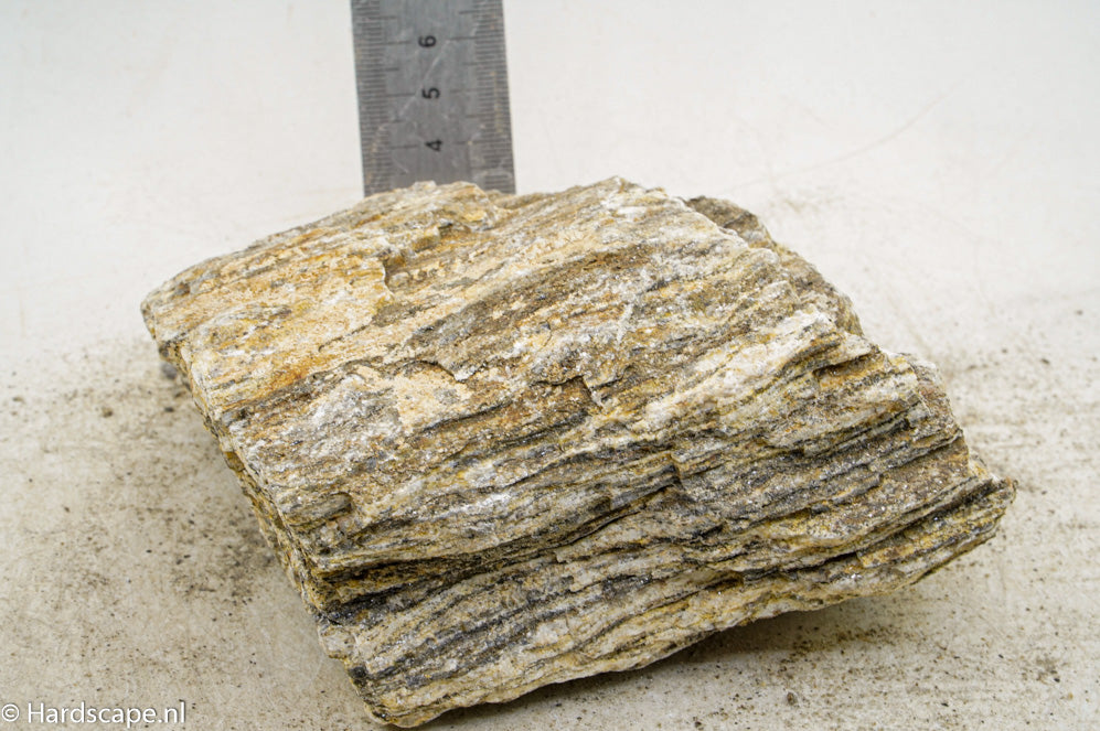 Glimmer Wood Rock L46 - Hardscape.nl