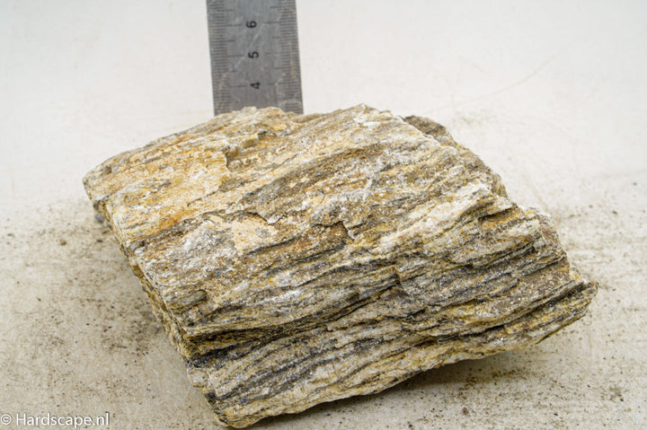 Glimmer Wood Rock L46 - Hardscape.nl