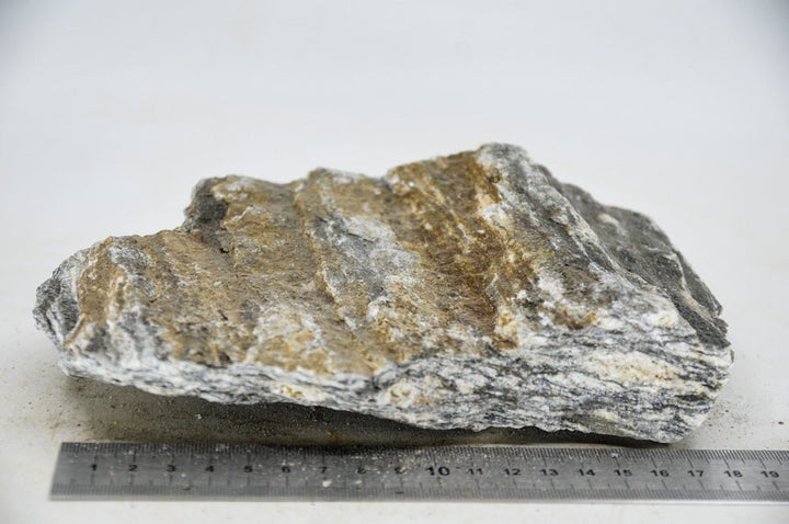 Glimmer Wood Rock L6 - Hardscape.nl
