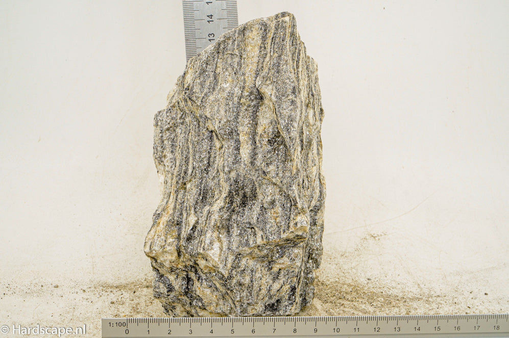 Glimmer Wood Rock L60 - Hardscape.nl