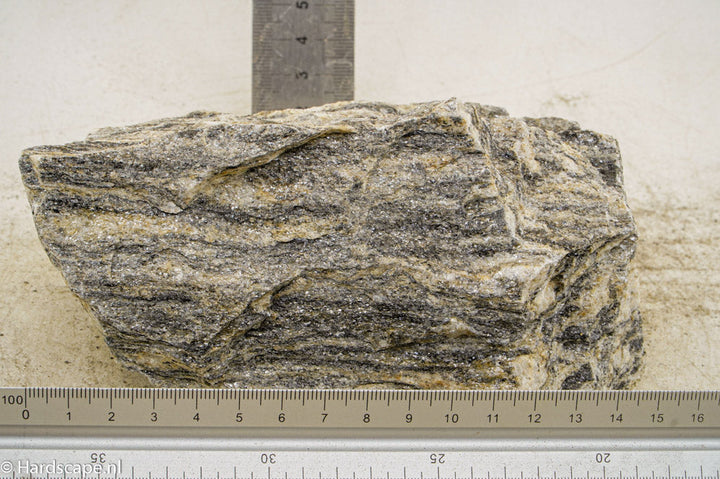 Glimmer Wood Rock L60 - Hardscape.nl