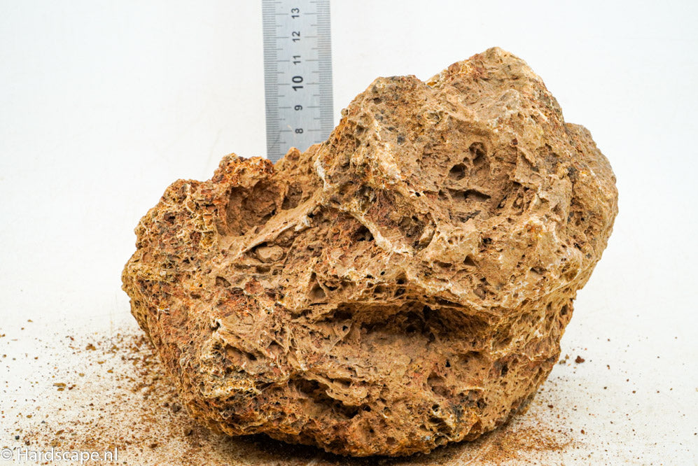 Maple Leaf Rock L16 - Hardscape.nl