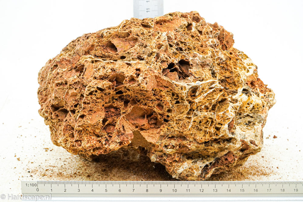 Maple Leaf Rock L16 - Hardscape.nl