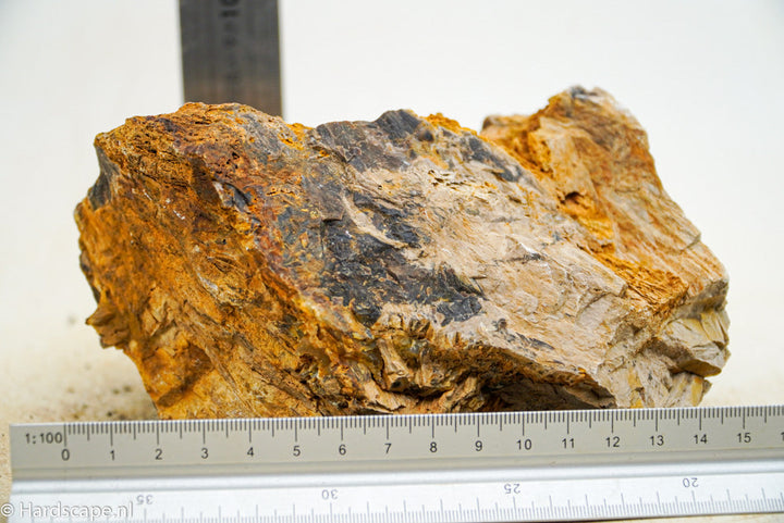 Petrified Wood L50 - Hardscape.nl