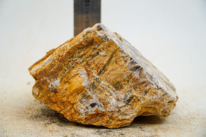 Petrified Wood L60 - Hardscape.nl