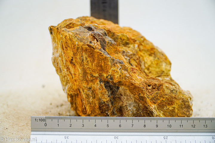 Petrified Wood L60 - Hardscape.nl