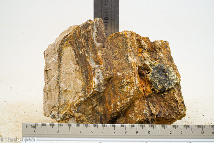 Petrified Wood L62 - Hardscape.nl
