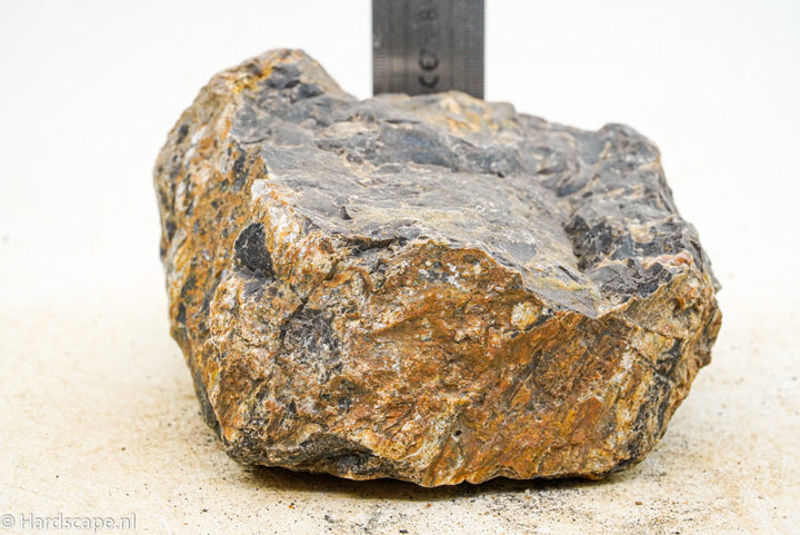 Petrified Wood L63 - Hardscape.nl