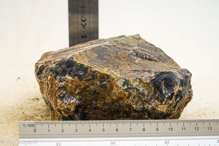 Petrified Wood L63 - Hardscape.nl
