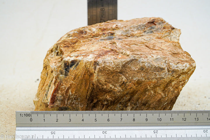 Petrified Wood L64 - Hardscape.nl