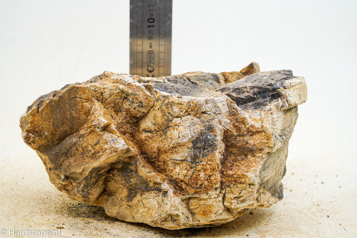Petrified Wood L68 - Hardscape.nl