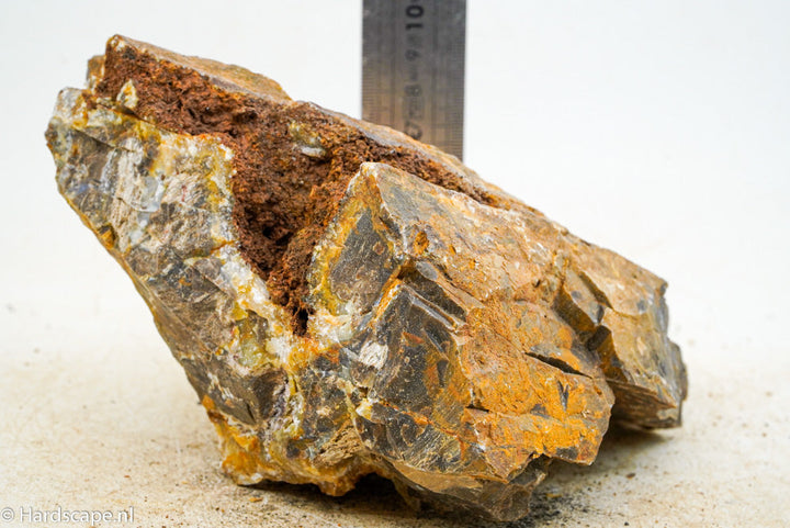 Petrified Wood L74 - Hardscape.nl