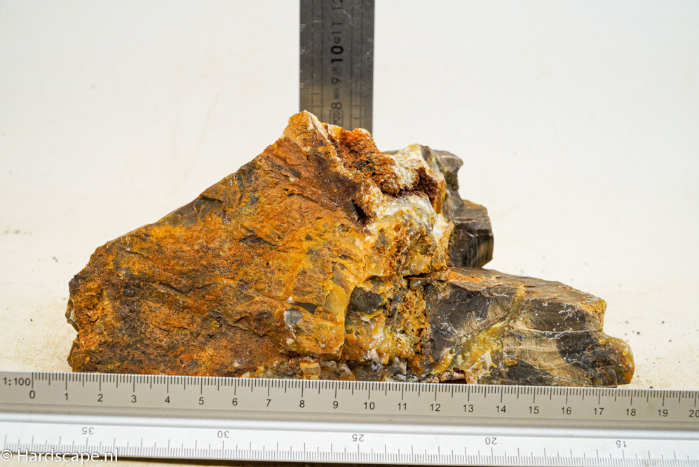 Petrified Wood L74 - Hardscape.nl