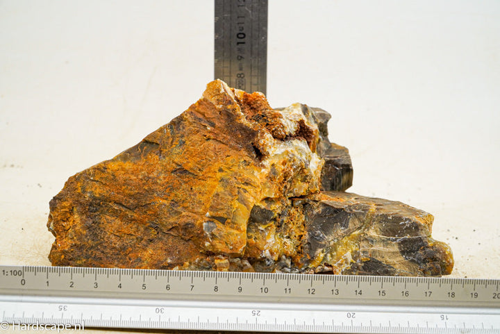 Petrified Wood L74 - Hardscape.nl