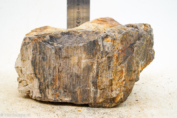 Petrified Wood L83 - Hardscape.nl