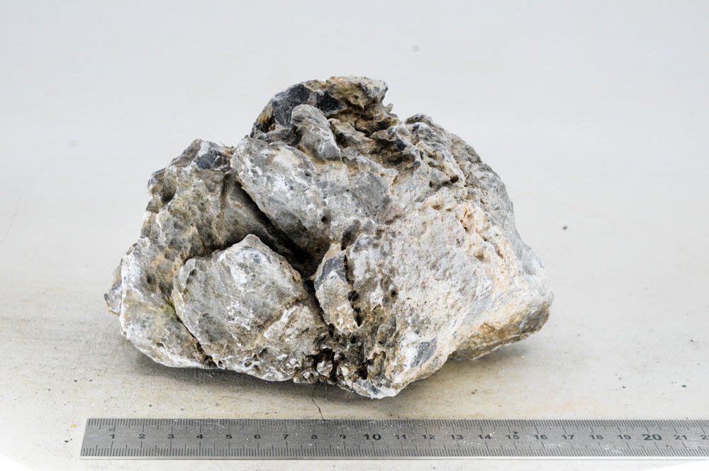 Seiryu Rock L055 - Hardscape.nl