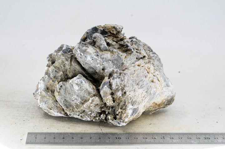 Seiryu Rock L055 - Hardscape.nl