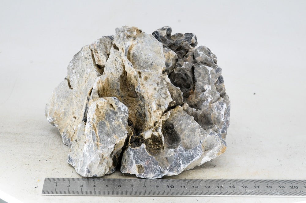 Seiryu Rock L055 - Hardscape.nl