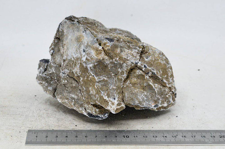Seiryu Rock L057 - Hardscape.nl