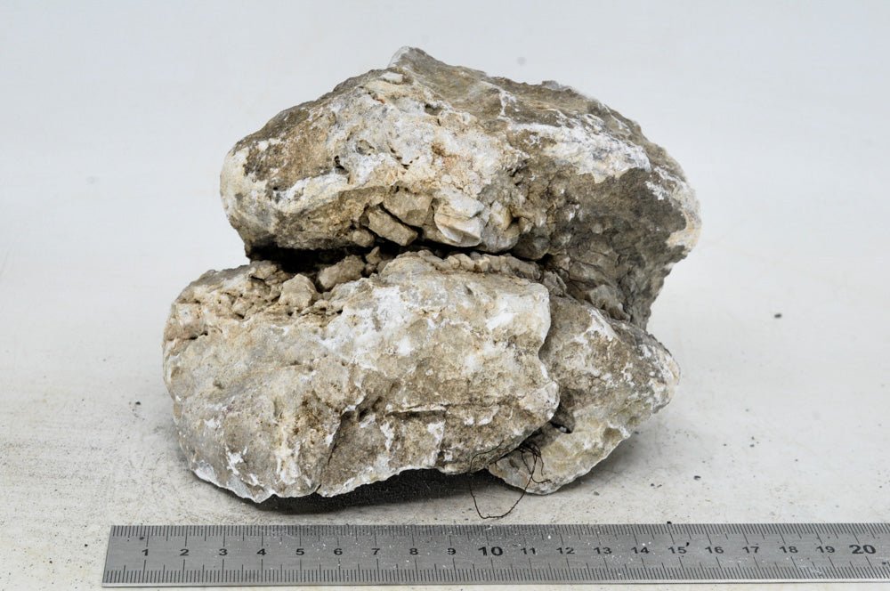 Seiryu Rock L059 - Hardscape.nl