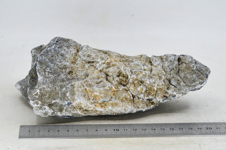 Seiryu Rock L069 - Hardscape.nl