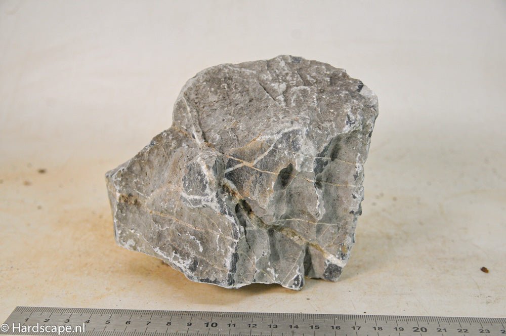 Seiryu Rock L086 - Hardscape.nl