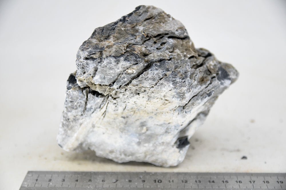 Seiryu Rock L39 - Hardscape.nl