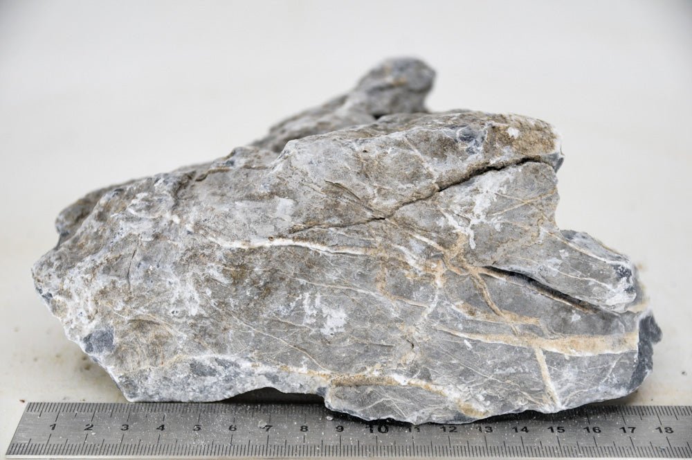 Seiryu Rock L46 - Hardscape.nl