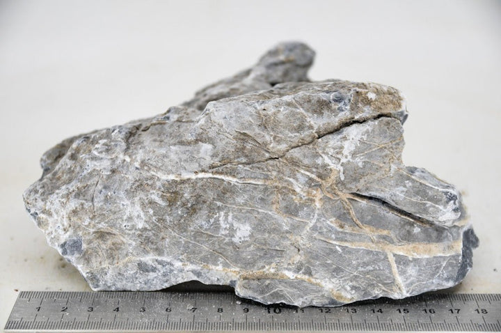 Seiryu Rock L46 - Hardscape.nl
