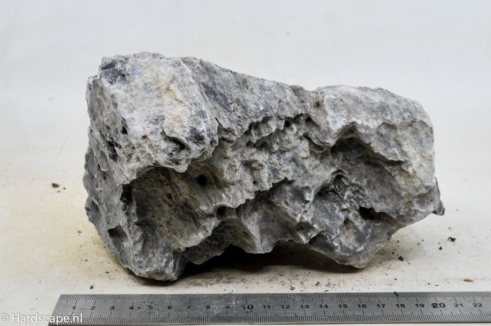 Seiryu Rock L73 - Hardscape.nl