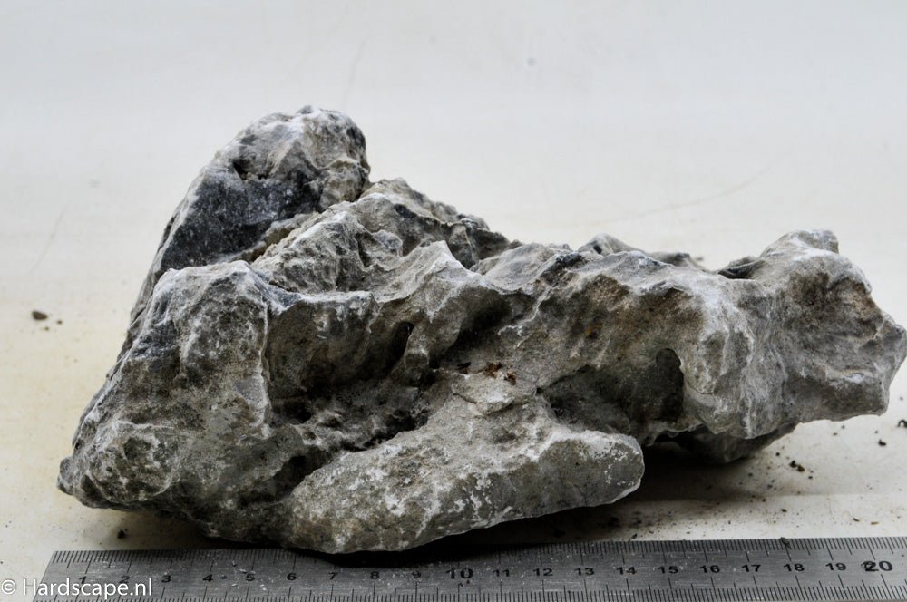 Seiryu Rock L73 - Hardscape.nl