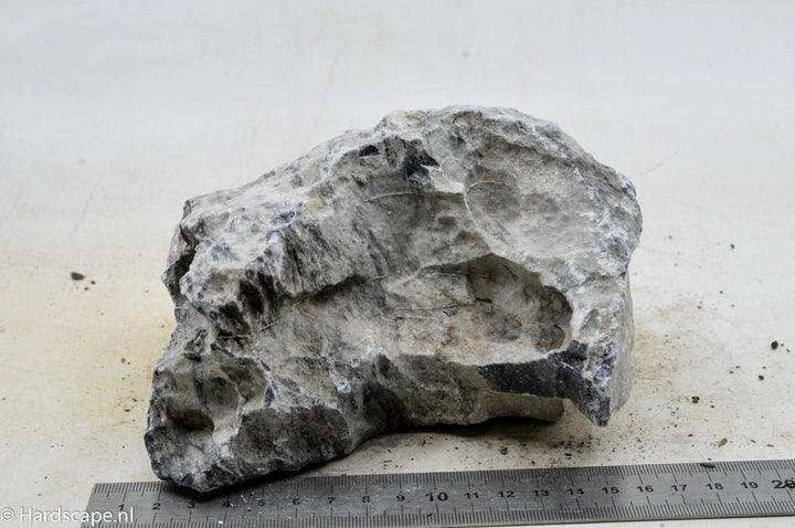 Seiryu Rock L77 - Hardscape.nl