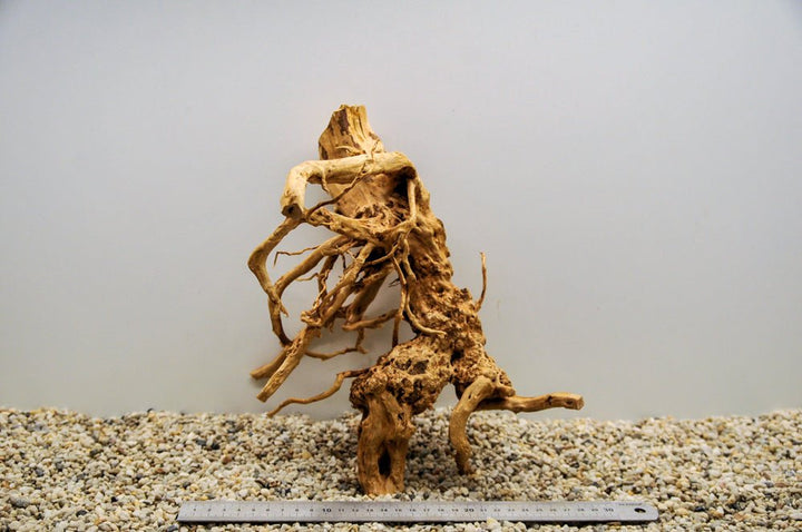 Spiderwood L52 - Hardscape.nl