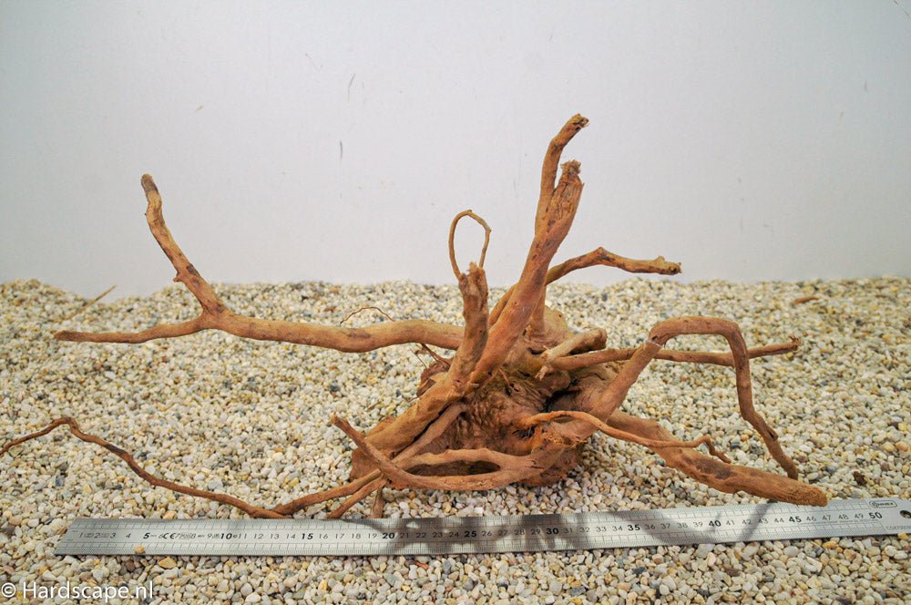 Spiderwood L88 - Hardscape.nl